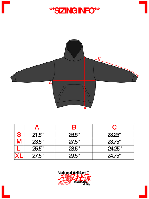 "EVOLUTION" Hoodie (1 of 1)