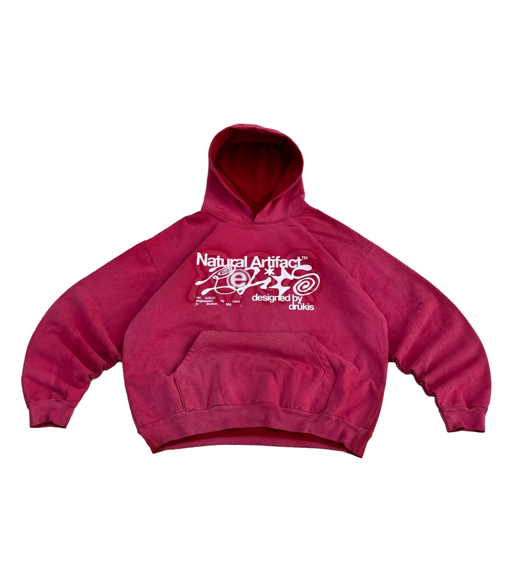 "EVOLUTION" Hoodie (1 of 1)